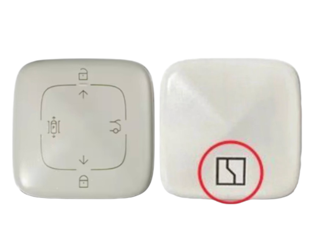 Zeekr Type A