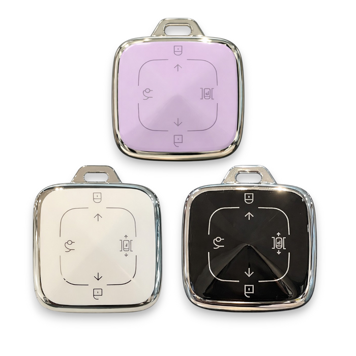 Zeekr Key Cover - silver trim | Zeekr X, 7X key fob case
